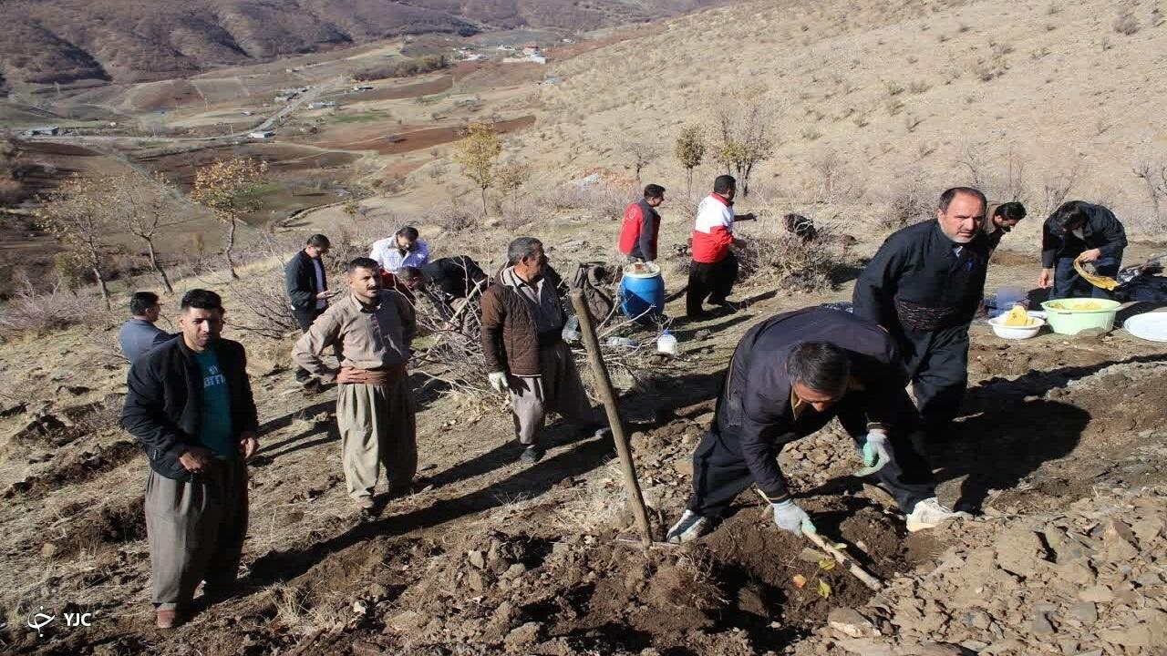 بذر درختان جنگلی در ۳ هکتار از کوه داشامجید مهاباد کاشته شد