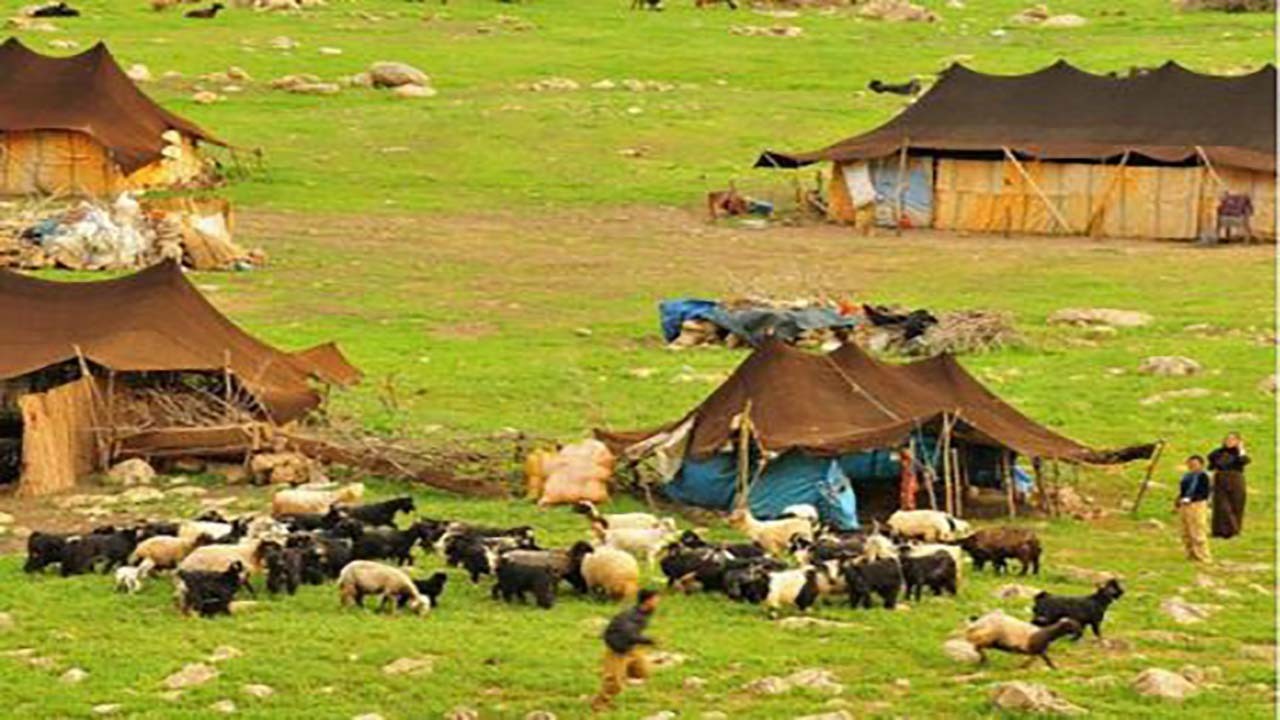 رفع مشکلات و نیاز‌های عشایر تنگستان در دستور کار است