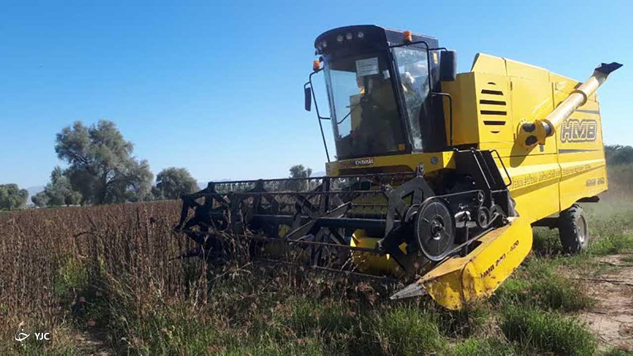 آغاز برداشت کنجد از زمین های کشاورزی بخش شمیل