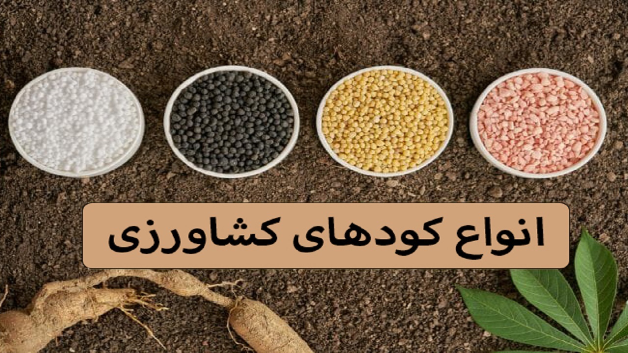 تامین ۶۷ درصد برنامه ابلاغی کود کشاورزی استان یزد