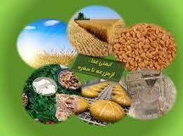 آغاز طرح مزرعه تا سفره در فارس/ این طرح برای کوتاه کردن دست سوء استفاده‌گران از سفره مردم اجرایی شد