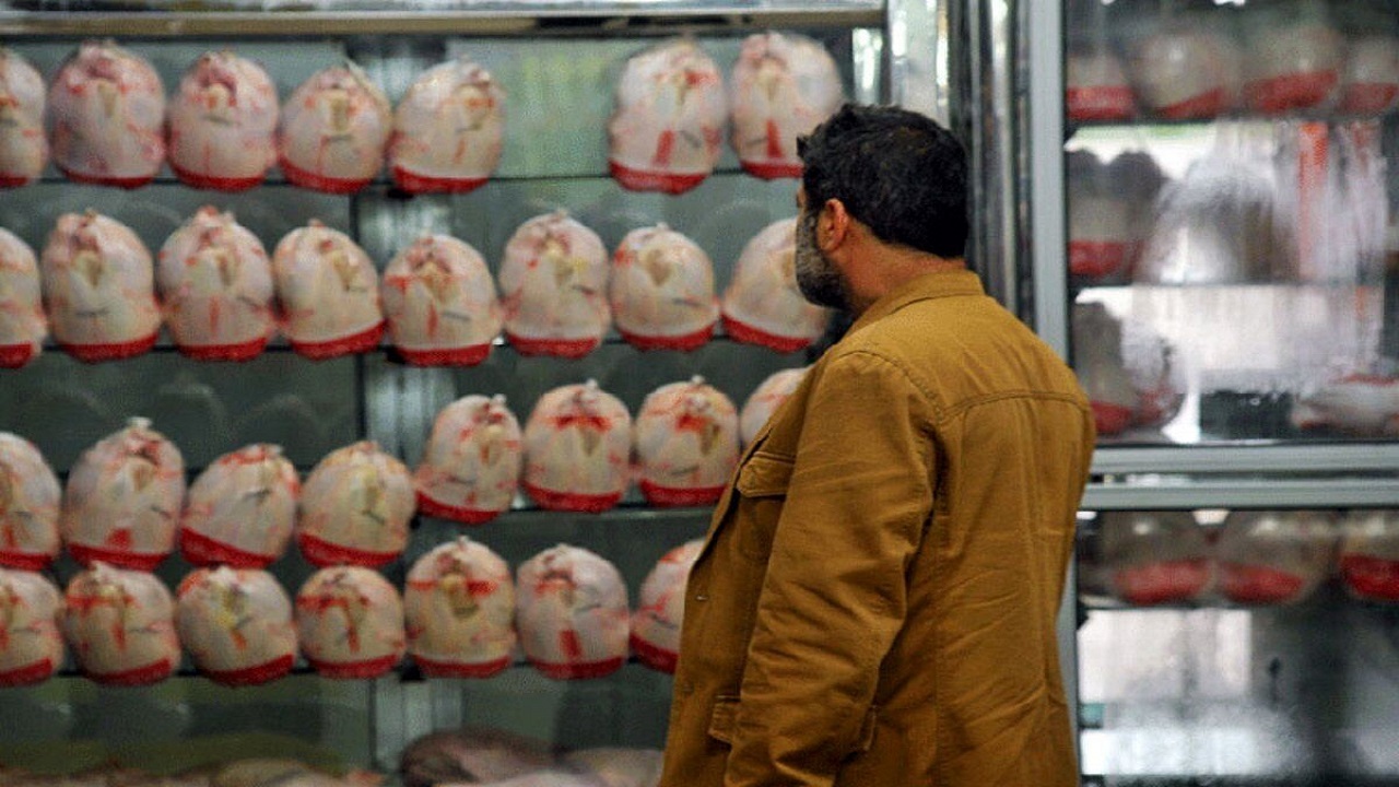 بازار عرضه گوشت مرغ در آذربایجان غربی به تعادل رسید