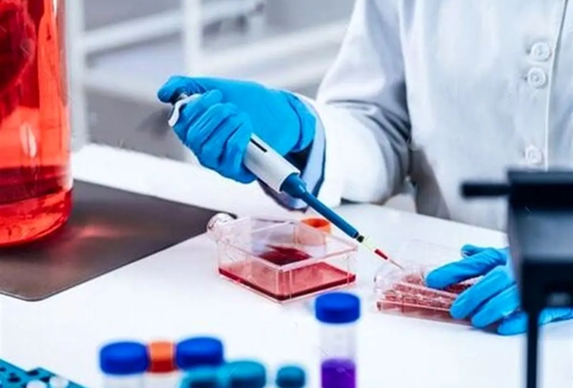 حفظ گونه های مختلف محیط زیست با فناوری جدید/ بانک ژن راهی برای منقرض نشدن