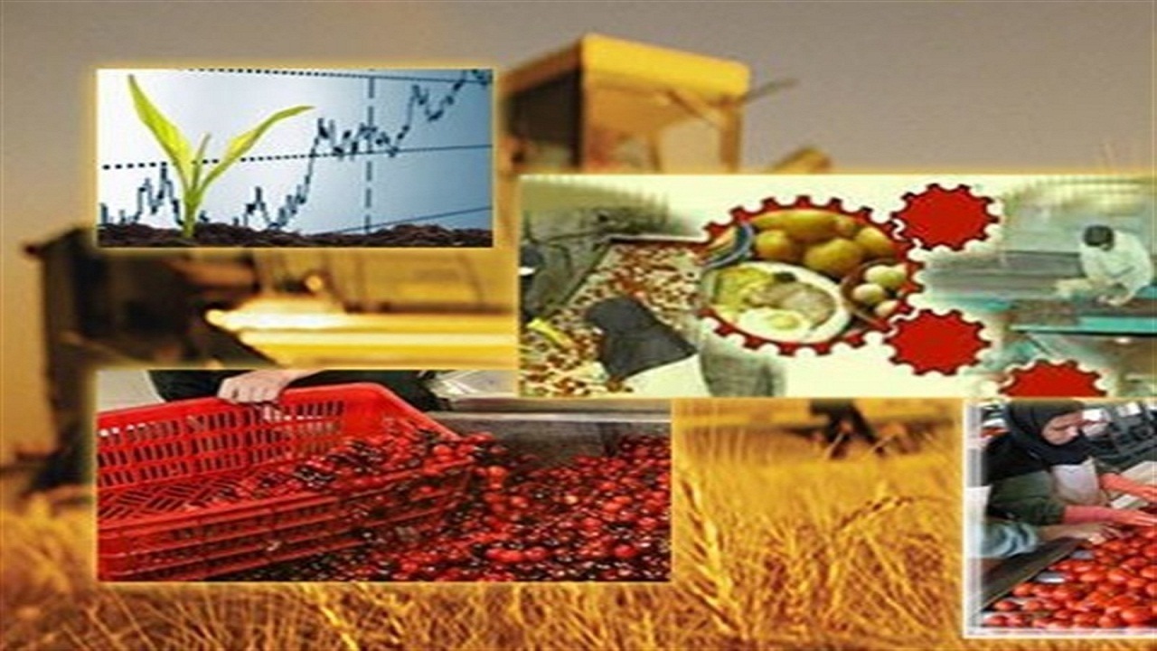 توسعه صنایع تبدیلی راهی برای کاهش ضایعات بخش کشاورزی