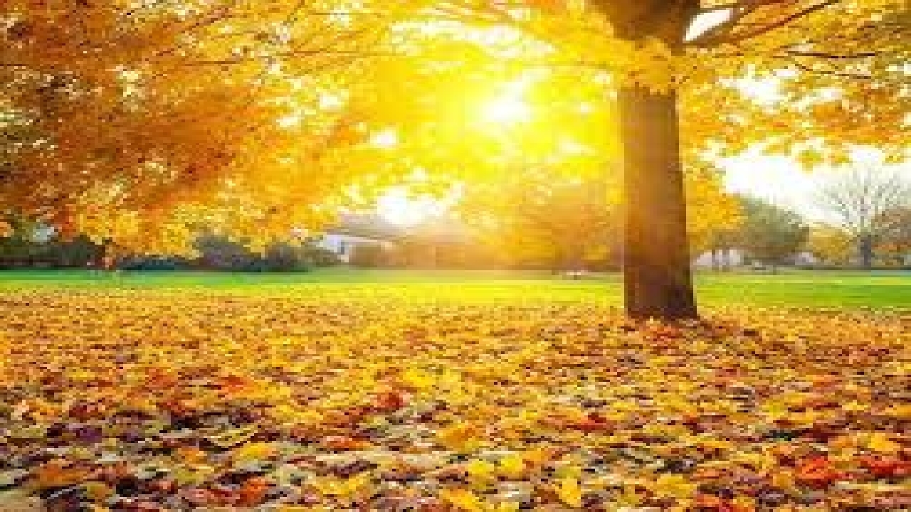 آغاز هفته پایانی پاییز در گیلان با هوای پایدار