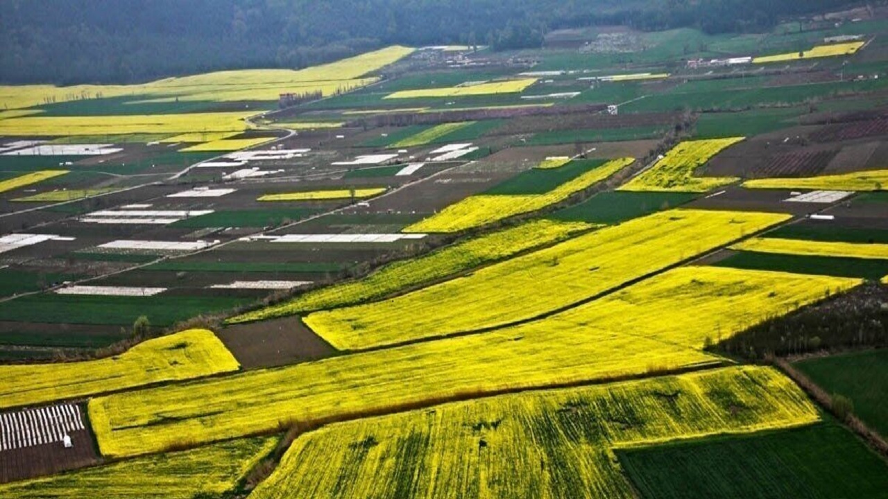 شناسایی ۷۲۴فقره تغییر کاربری غیرمجاز اراضی کشاورزی در قم