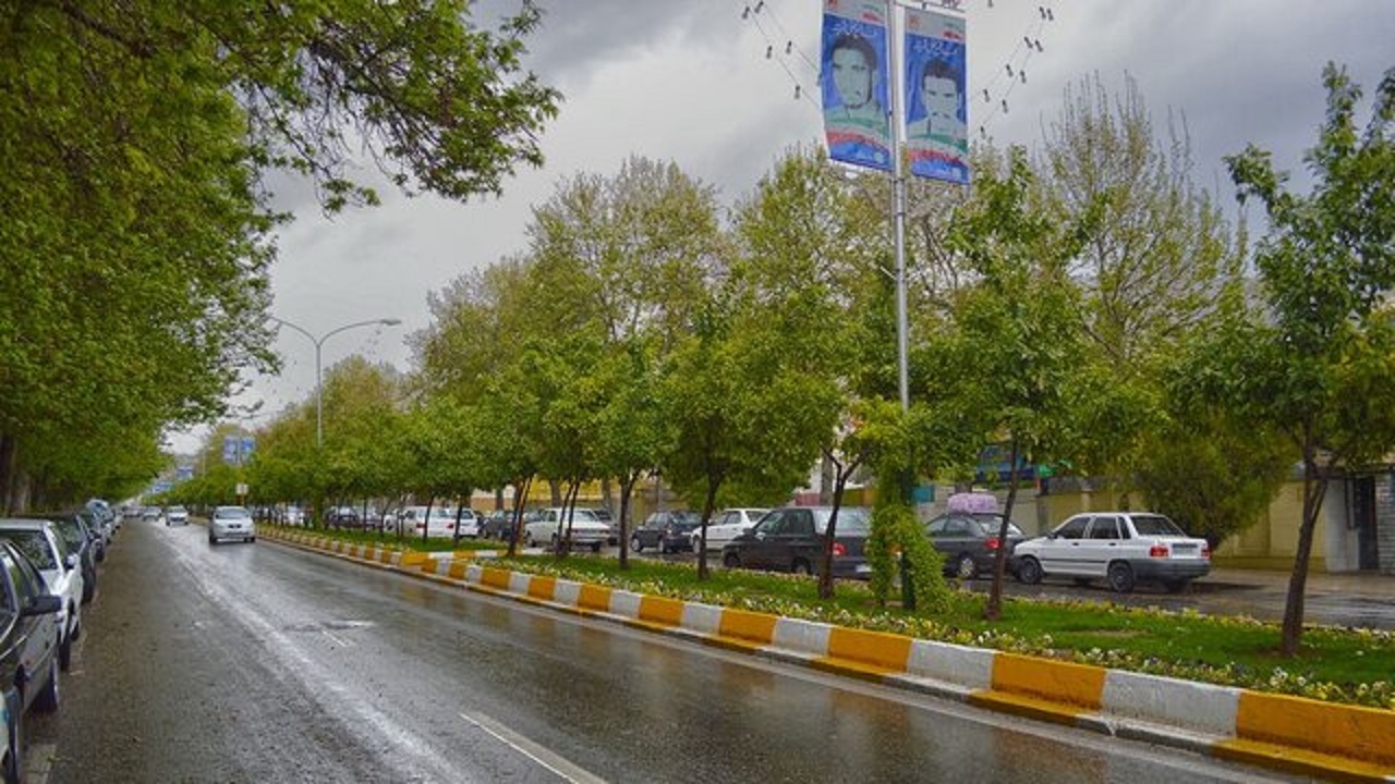 آماربرداری و تهیه شناسنامه درختان کرمانشاه
