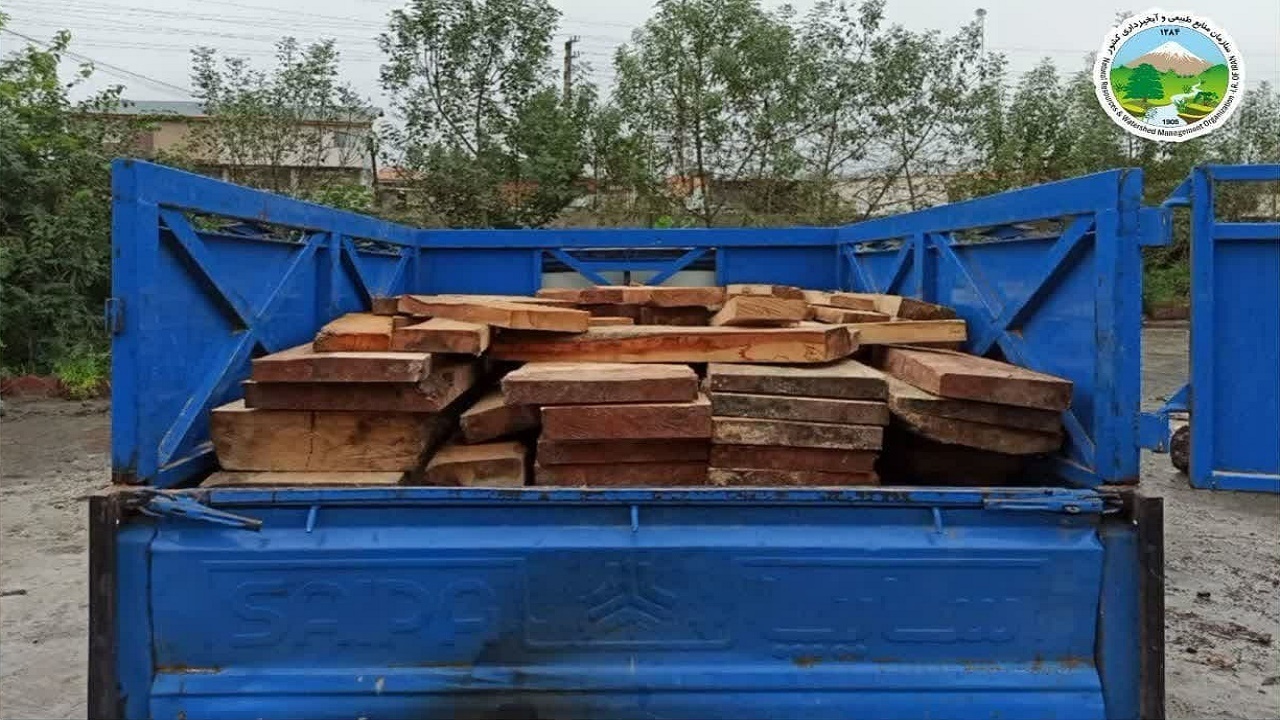 کشف چوب جنگلی قاچاق در سوادکوه
