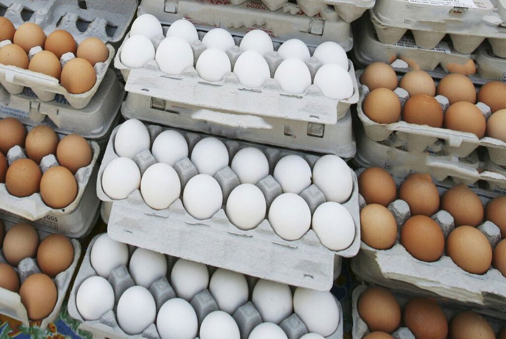 اجرای طرح نظارتی بر بازار مرغ و تخم مرغ در خراسان جنوبی