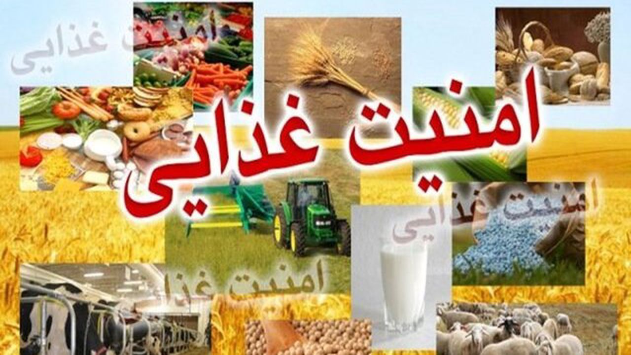 اجرای طرح ارتقای امنیت غذایی کودکان در شاهرود و میامی