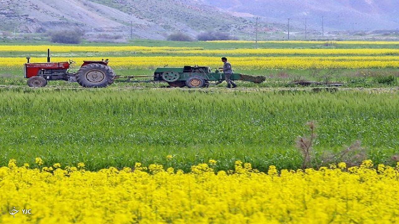 مهاباد با اتمام رفع تداخلات ۲۰۸ پلاک پیشتاز در استان است