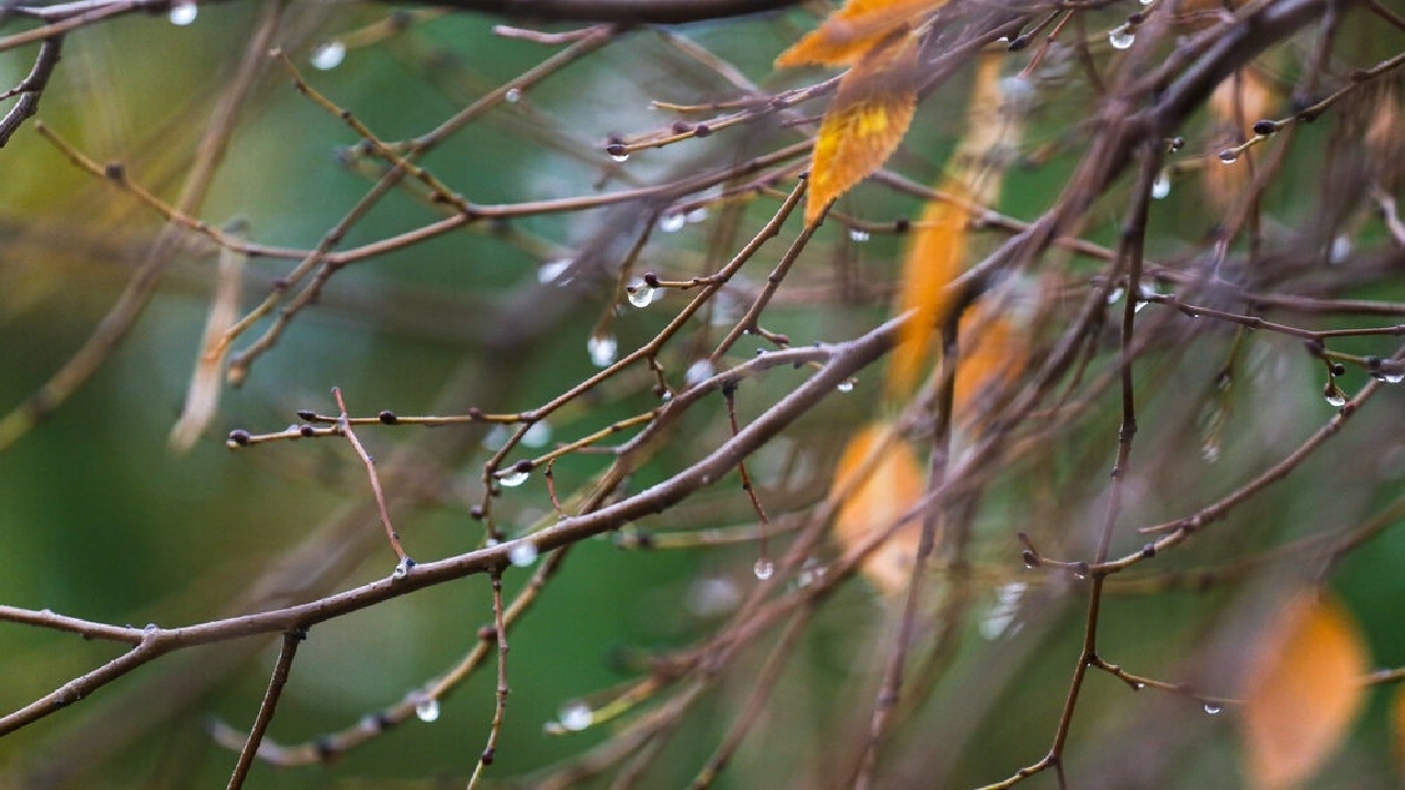 پیش بینی باران برای آسمان خوزستان