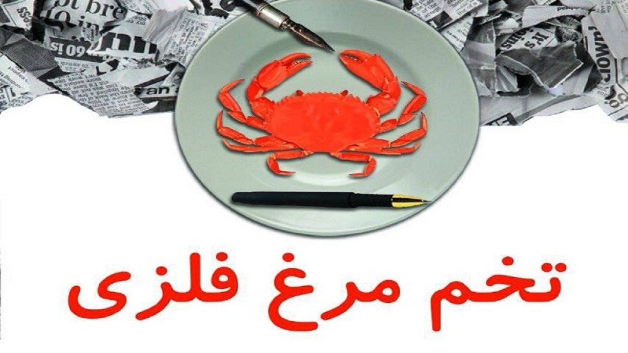 اجرای تخم مرغ فلزی در رشت