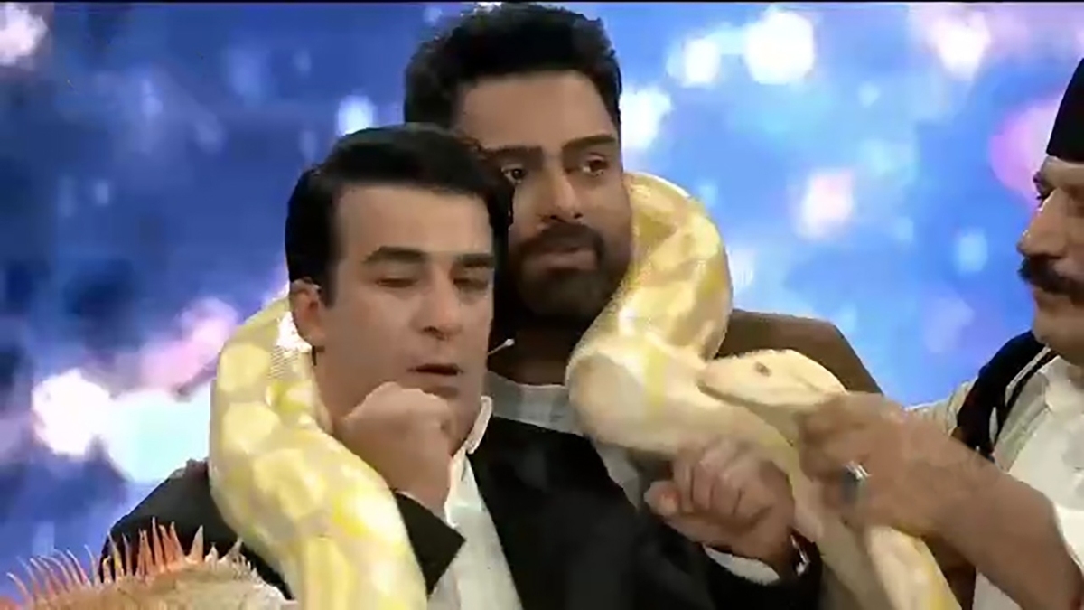 پیشنهاد بازیگر سینما و تلویزیون برای برگزاری شب یلدا + صوت