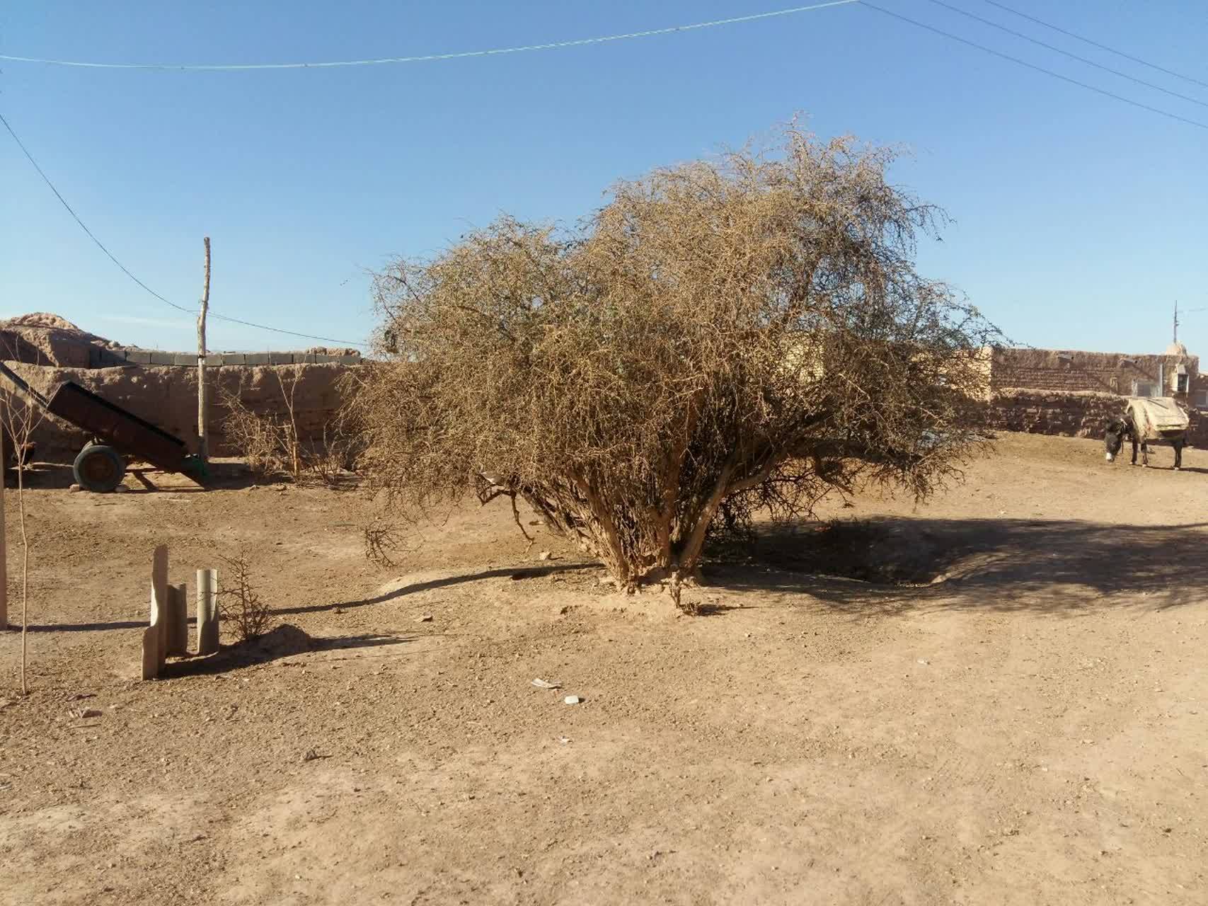 خشکسالی در برخی از روستاهابی شهخرستان فریمان