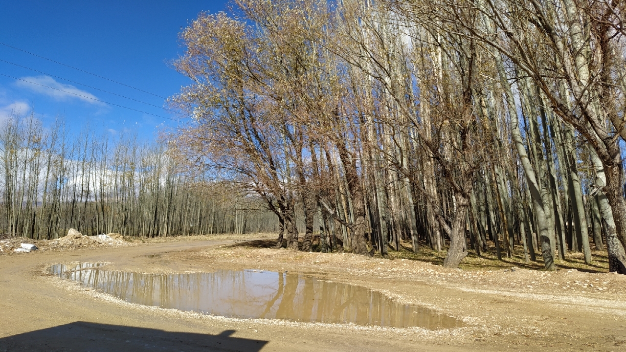 طبیعت پاییزی برنکان در روستای ده چشمه + تصاویر