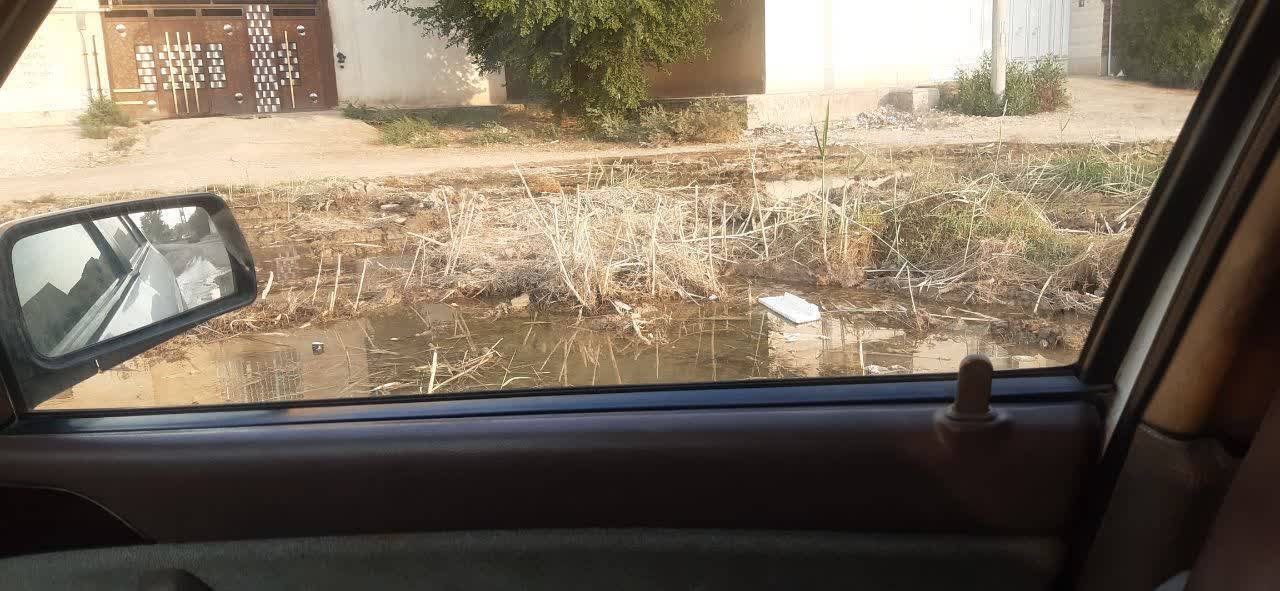 هدررفت لوله آب در کوی پردیس