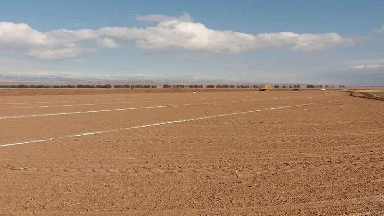 واگذاری زمین مسکونی رایگان به خانواده‌های ایثارگران استان بوشهر