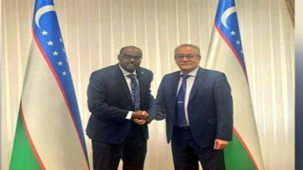 سازمان همکاری اسلامی و ازبکستان بحران اقتصادی در افغانستان را بررسی کردند