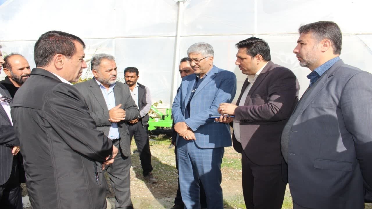 احداث ۶۰ هکتار گلخانه در شهرستان خانمیرزا
