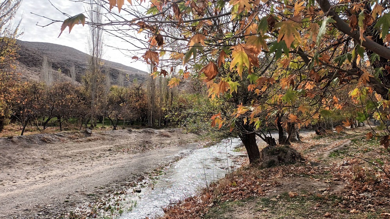 نمایی از طبیعت پاییزی در روستای کارده مشهد به روایت تصاویر