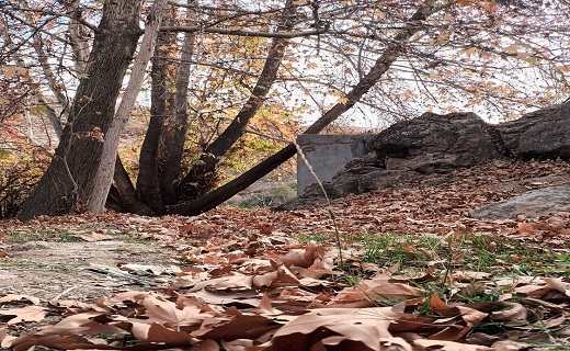 مناظر پاییزی در روستای کارده