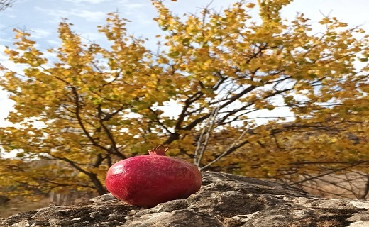 منظره پاییزی در روستای کارده