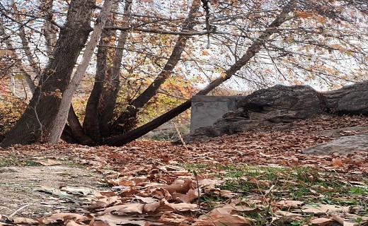 منظره پاییزی در روستای کارده