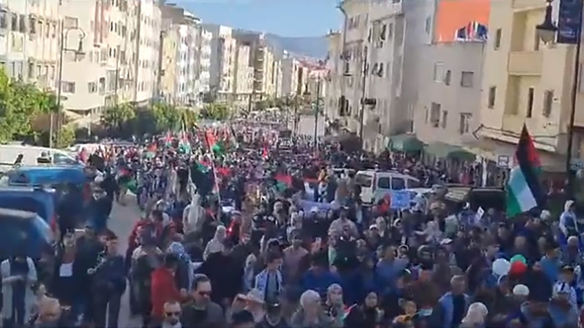 تاریخچه نماد‌های فلسطین + فیلم
