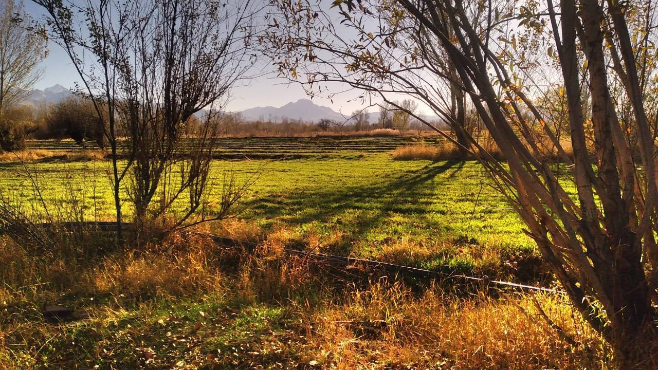 طبیعت پاییزی