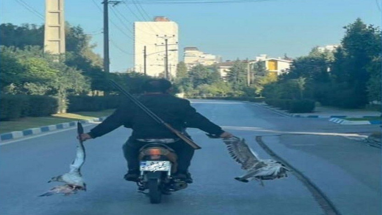دستگیری شکارچی جنجالی فضای مجازی در بابلسر