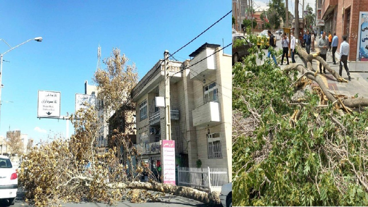 وزش باد شدید در آذربایجان غربی / شکستگی درختان در ارومیه موجب ایجاد اختلال در رفت و آمد شد