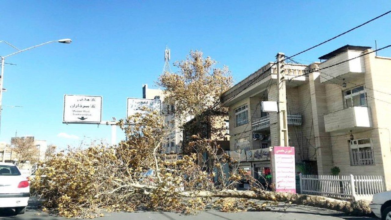 ۹ نفر بر اثر وزش باد شدید در ارومیه مصدوم شدند