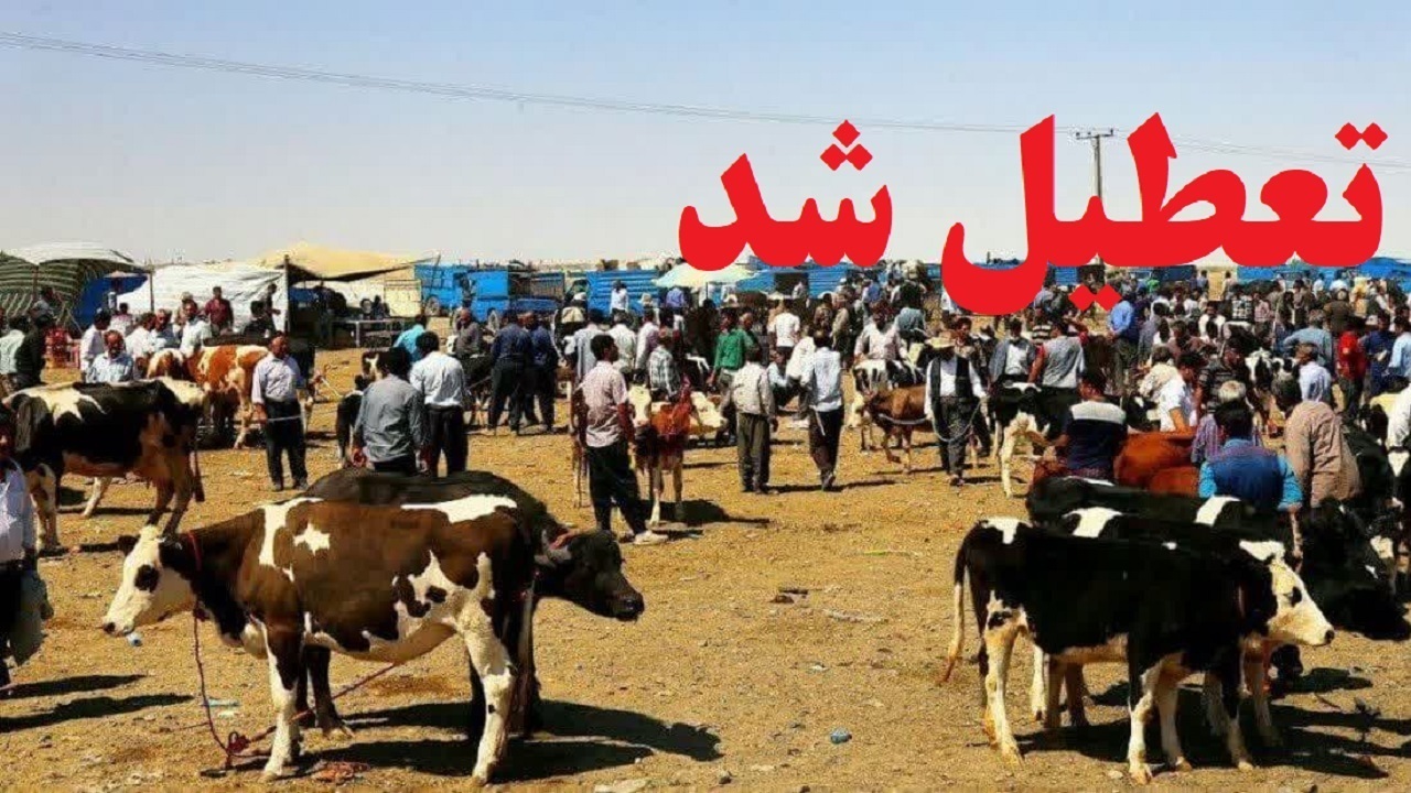 تعطیلی میادین دواب سومین شهرستان آذربایجان غربی