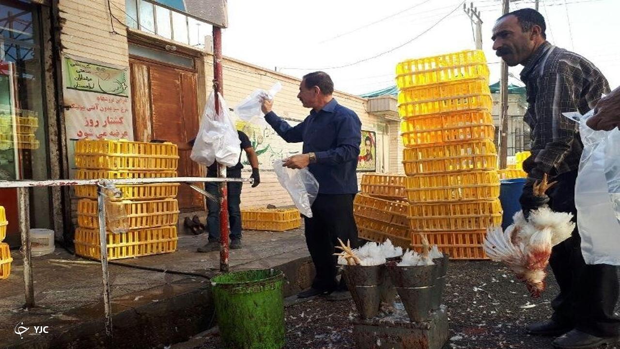 محکومیت ۹ واحد مرغ زنده فروش در نقده