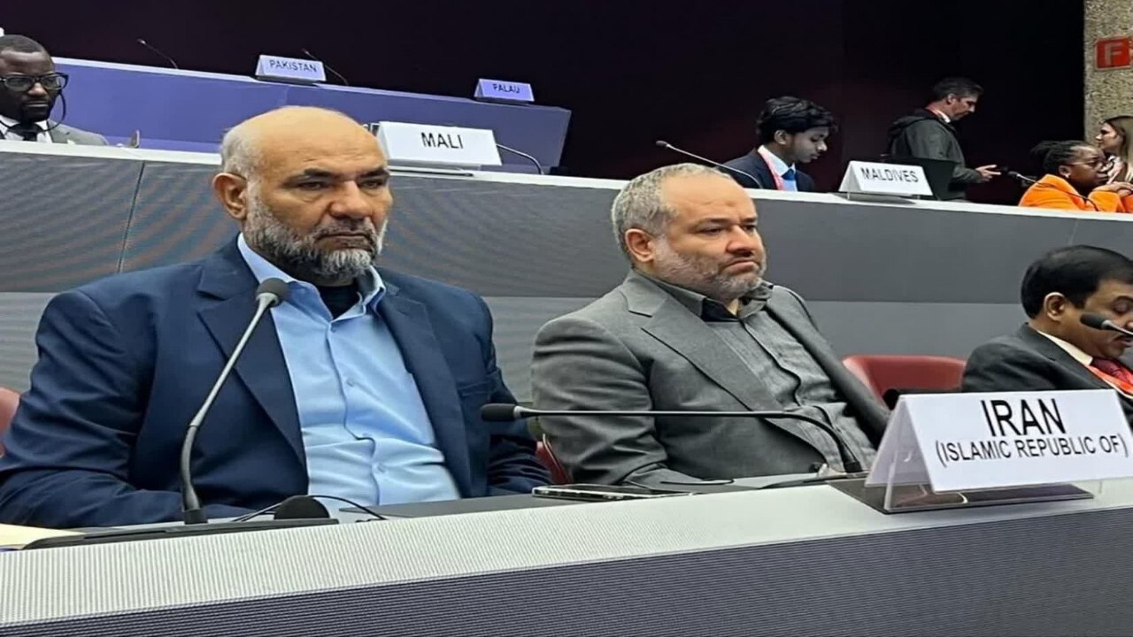 ایران بیش از سهم خود در میزبانی از پناهندگان مشارکت داشته است