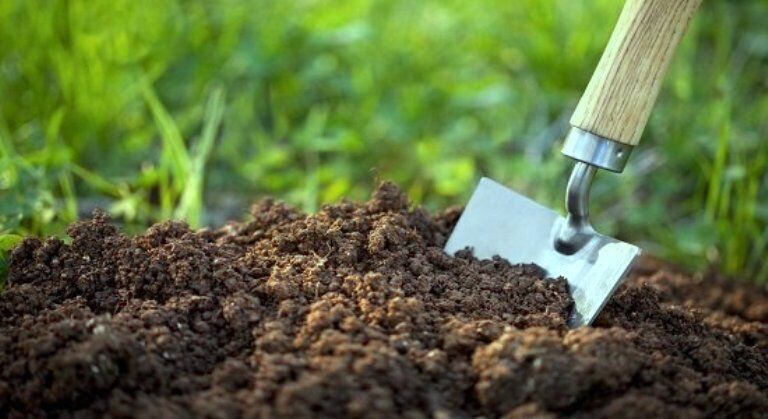تاکید سازمان حفظ نباتات به واردکنندگان برای واردات سموم و کود کم‌خطر