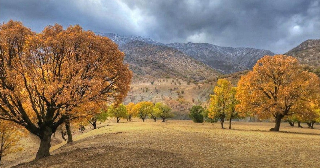 طبیعت پاییزی روستای پیه دره موران به روایت فیلم