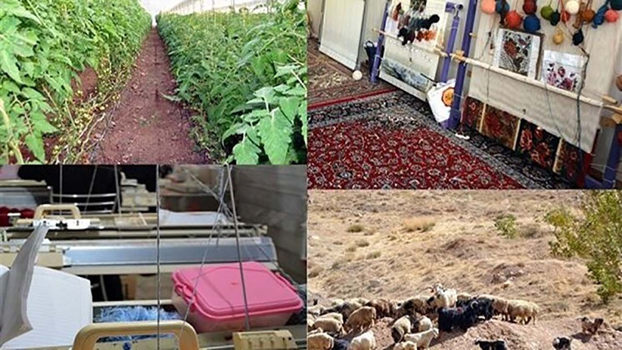 اجرای طرح اشتغالزایی در هرمزگان