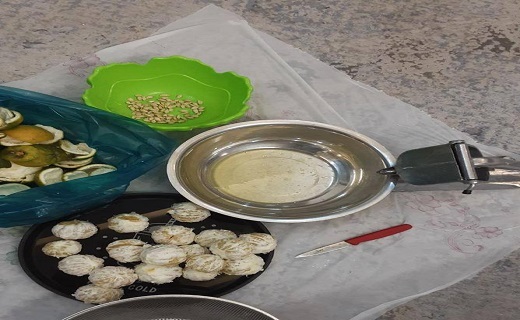 نارنج در روستای قلعه رودخان