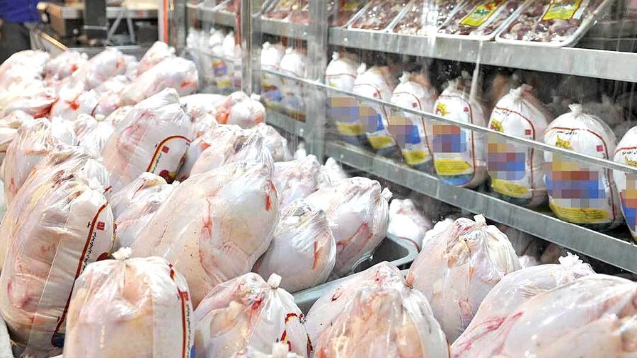 کمبود گوشت مرغ در بازار مشهد برطرف می‌شود