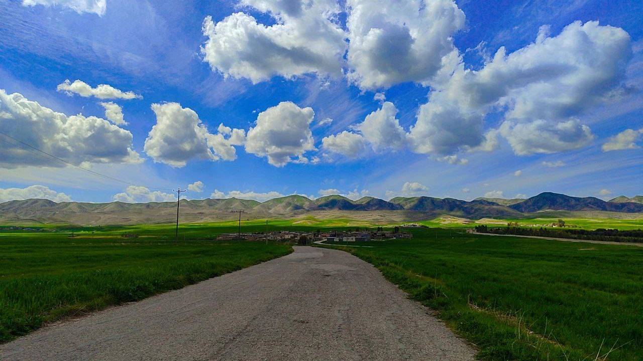 جاده ای با طبیعت سرسبز