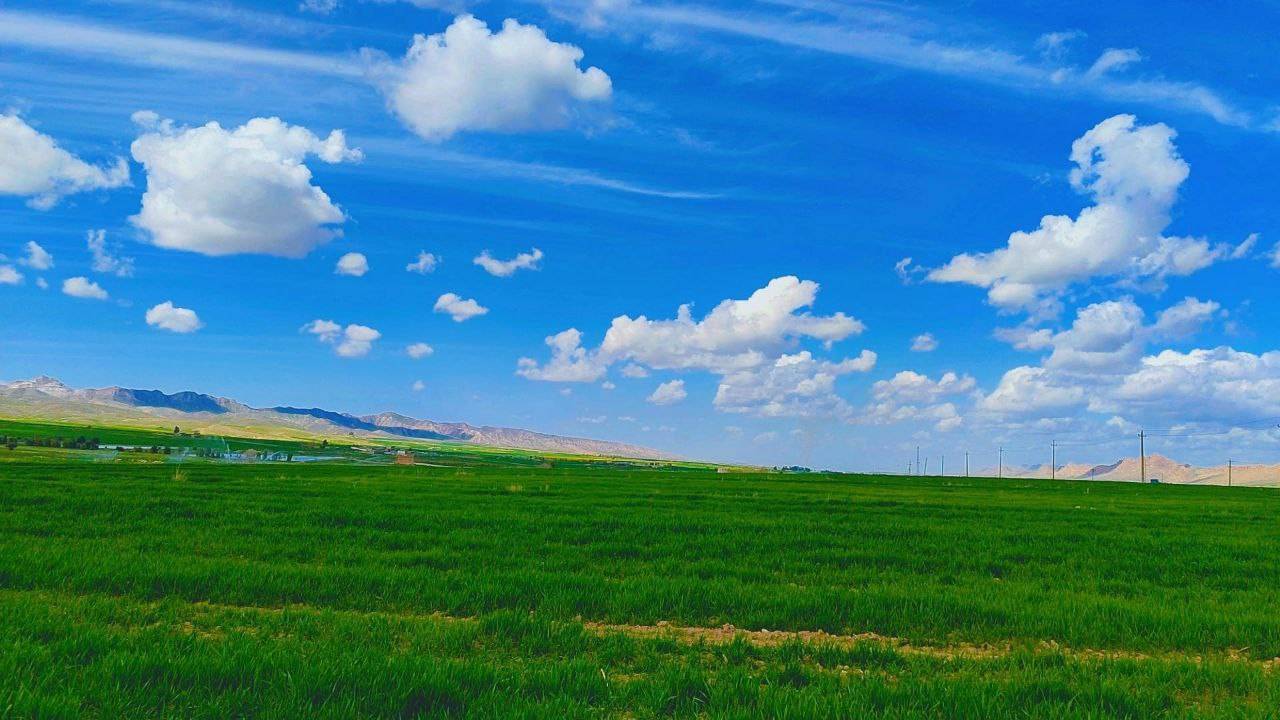 طبیعت سبز بهاری
