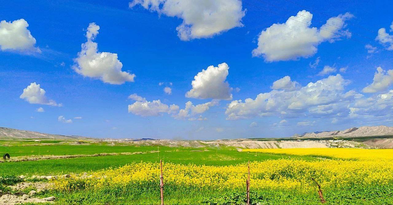طبیعت