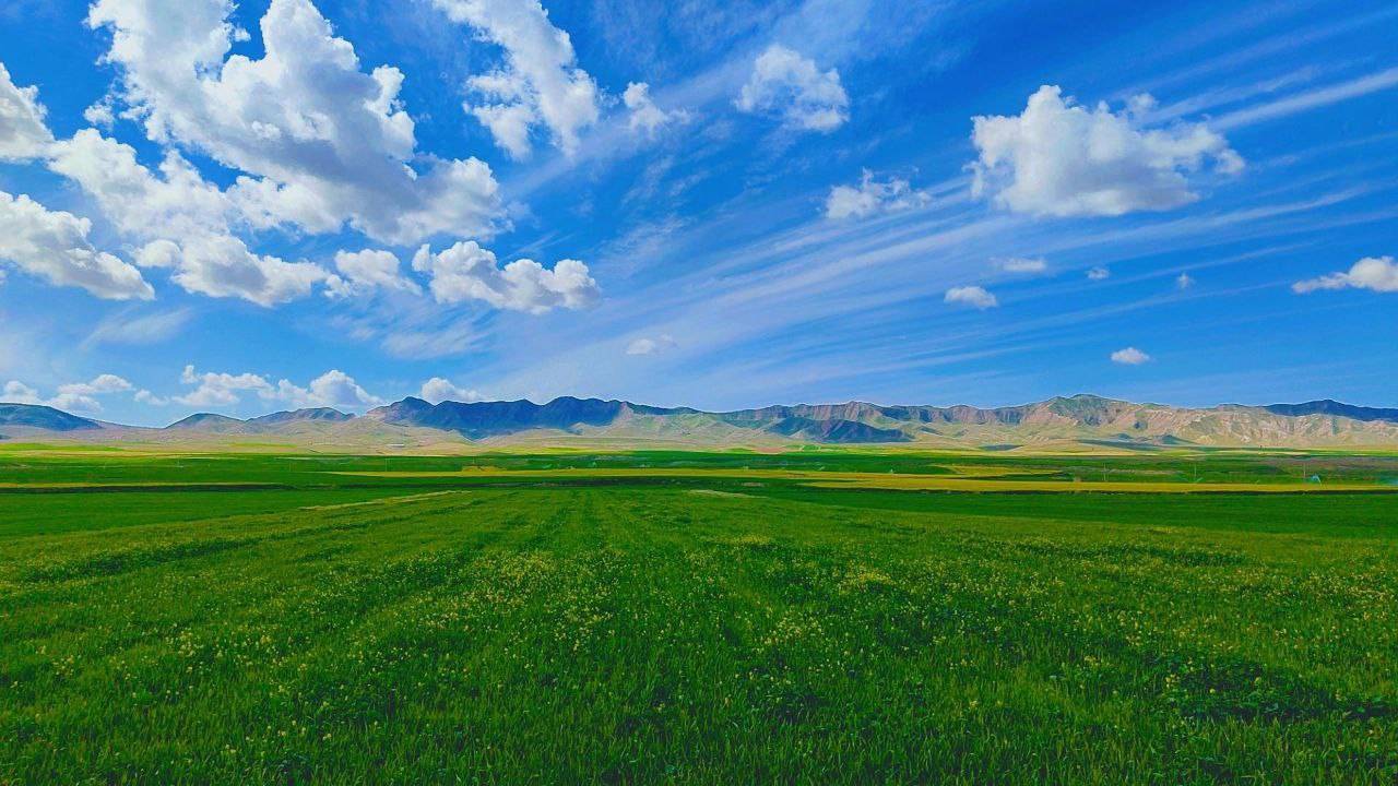 طبیعت سبز