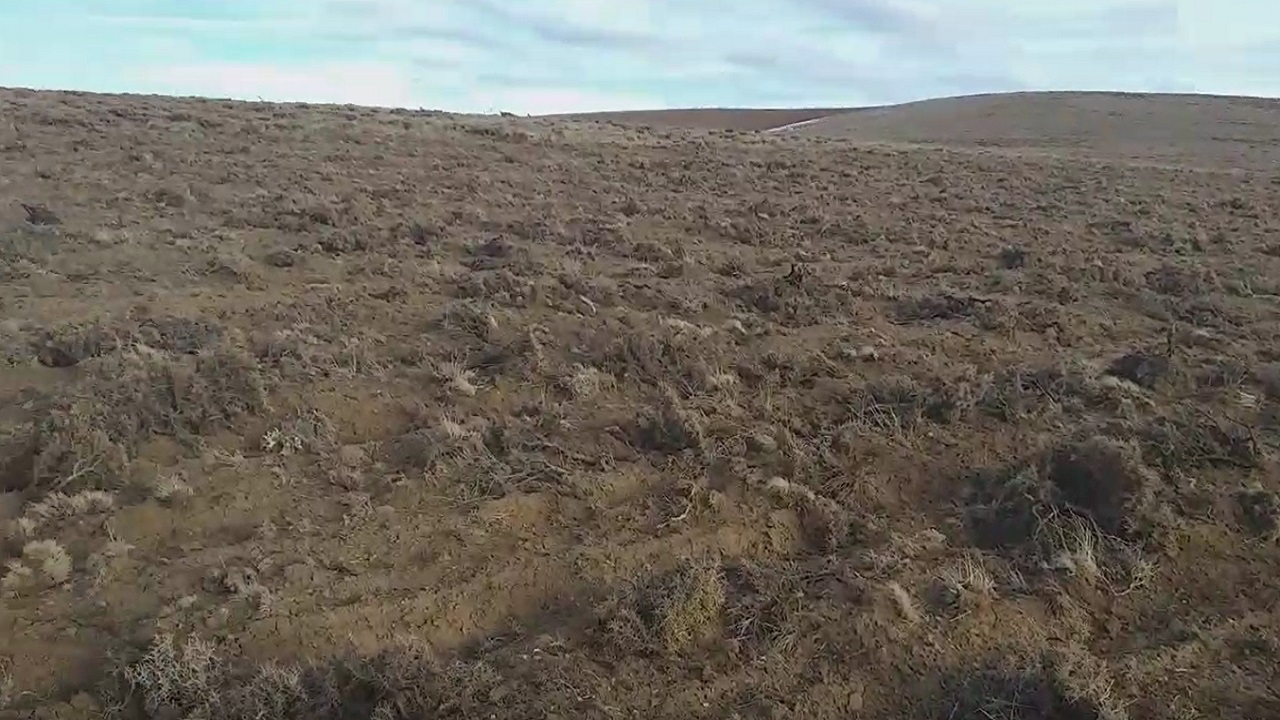 گلایه اهالی روستای طالب چمن از تخریب منابع طبیعی و چراگاه گوسفندان + فیلم
