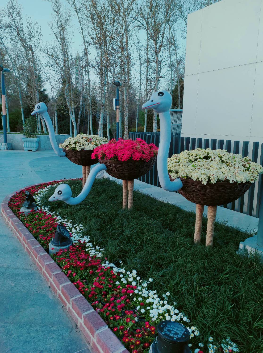 المان پرنده