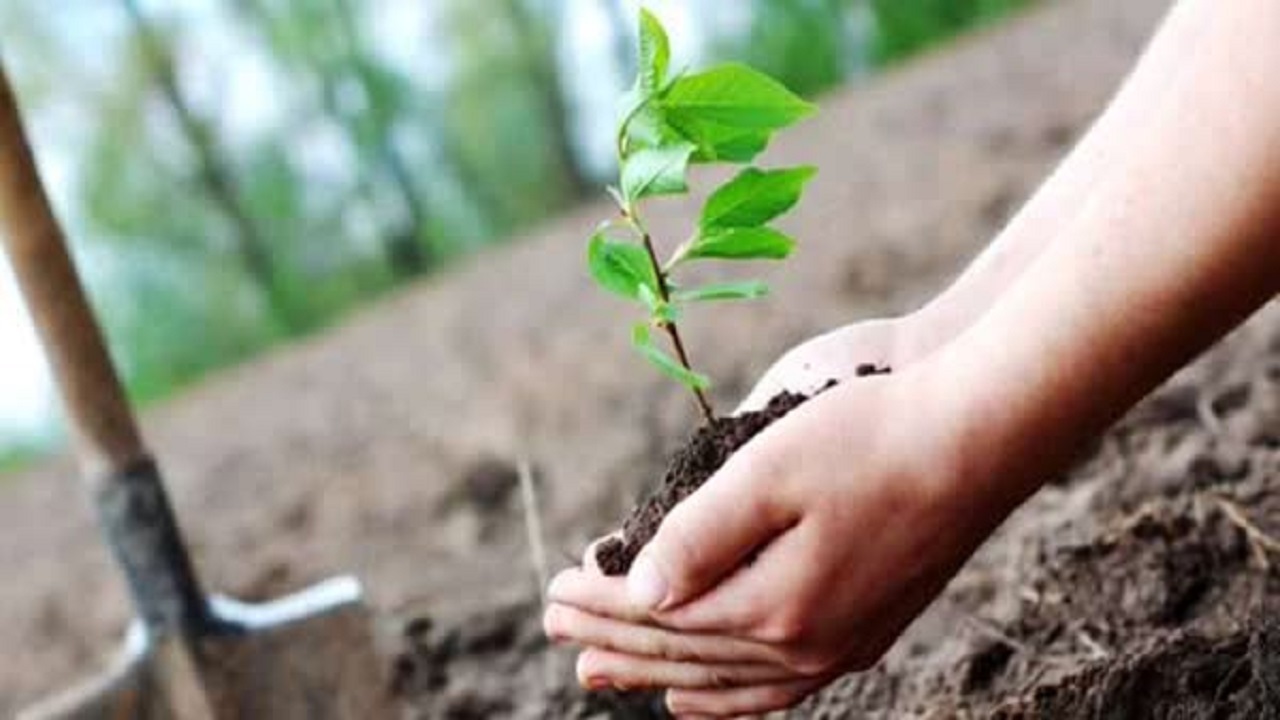 برگزاری مراسم سراسری کاشت نهال به مناسبت روز طبیعت