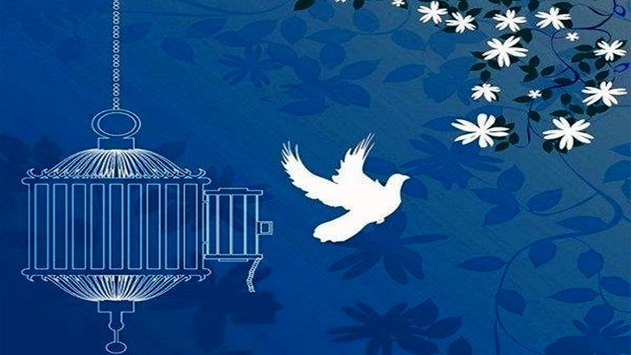پرداخت بدهی ۲۷۱ زندانی توسط ستاد دیه قزوین