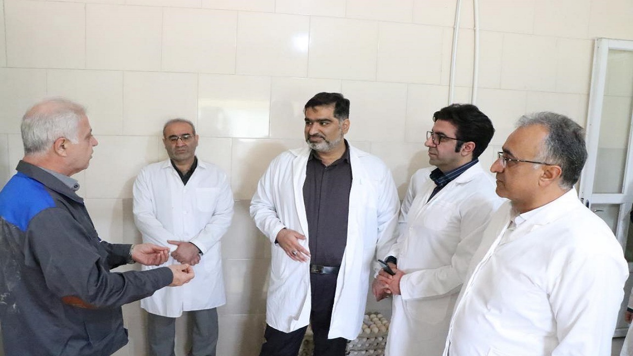 مرکز اصلاح نژاد مرغ بومی نیازمند پشتیبانی مالی